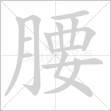 腰的造詞|腰造詞，腰字的造詞